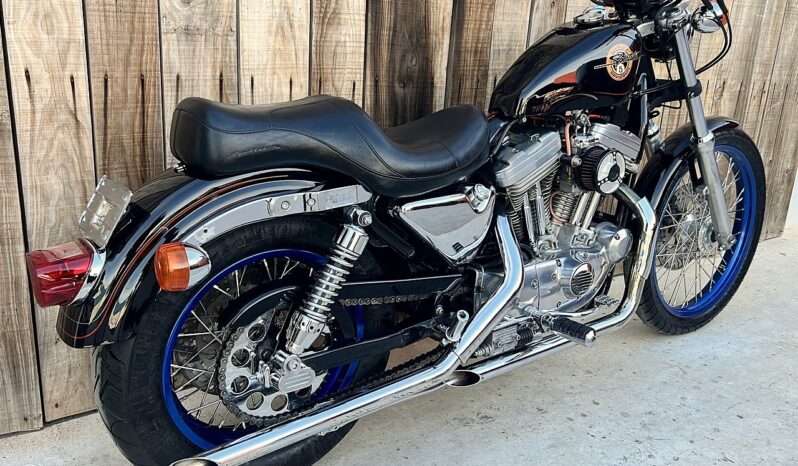 HARLEY DAVIDSON XL883 SPORTSTER lleno