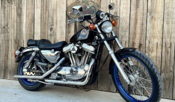 HARLEY DAVIDSON XL883 SPORTSTER lleno