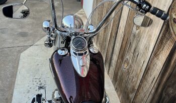 HARLEY DAVIDSON HERITAGE “CHICANA” lleno