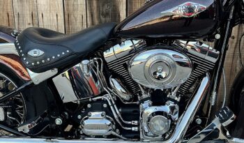 HARLEY DAVIDSON HERITAGE “CHICANA” lleno