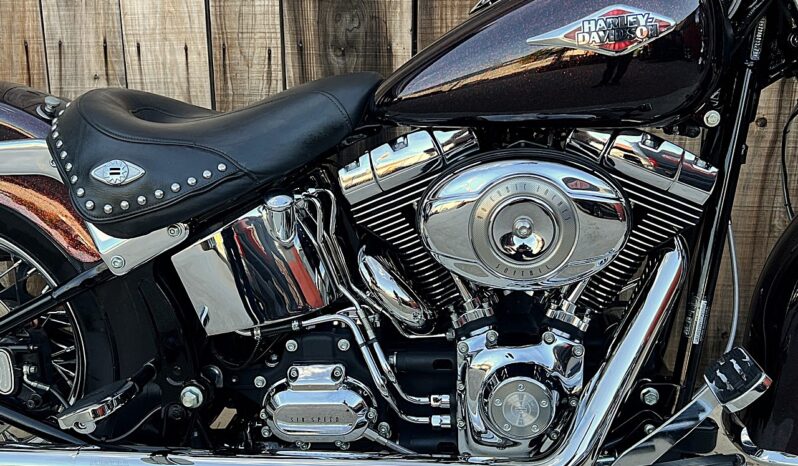 HARLEY DAVIDSON HERITAGE “CHICANA” lleno