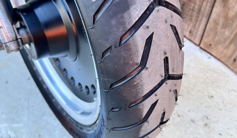 HARLEY DAVIDSON FAT BOY SP 103 lleno