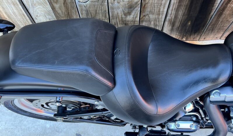 HARLEY DAVIDSON FAT BOY SP 103 lleno