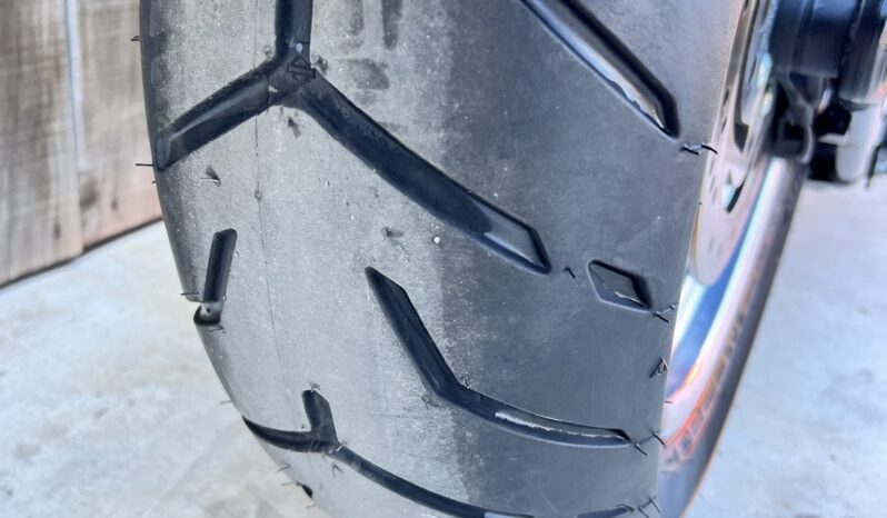 HARLEY DAVIDSON FAT BOY SP 103 lleno