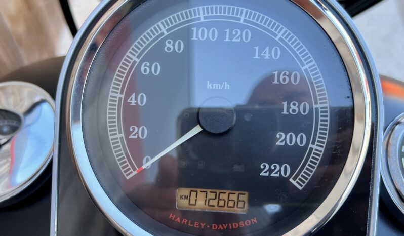 HARLEY DAVIDSON FAT BOY SP 103 lleno