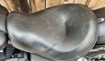 HARLEY DAVIDSON DYNA STREET BOB lleno