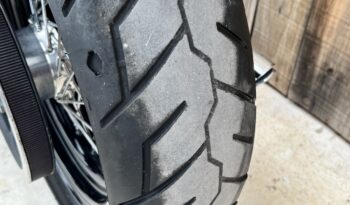 HARLEY DAVIDSON DYNA STREET BOB lleno