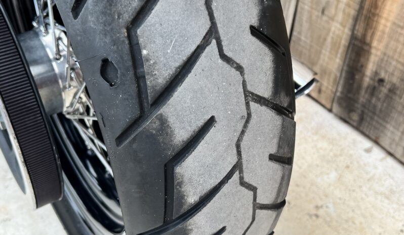 HARLEY DAVIDSON DYNA STREET BOB lleno