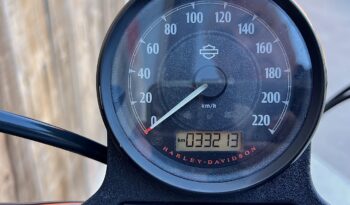 HARLEY DAVIDSON XL883 IRON A2 lleno