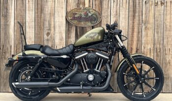 HARLEY DAVIDSON XL883 IRON A2 lleno