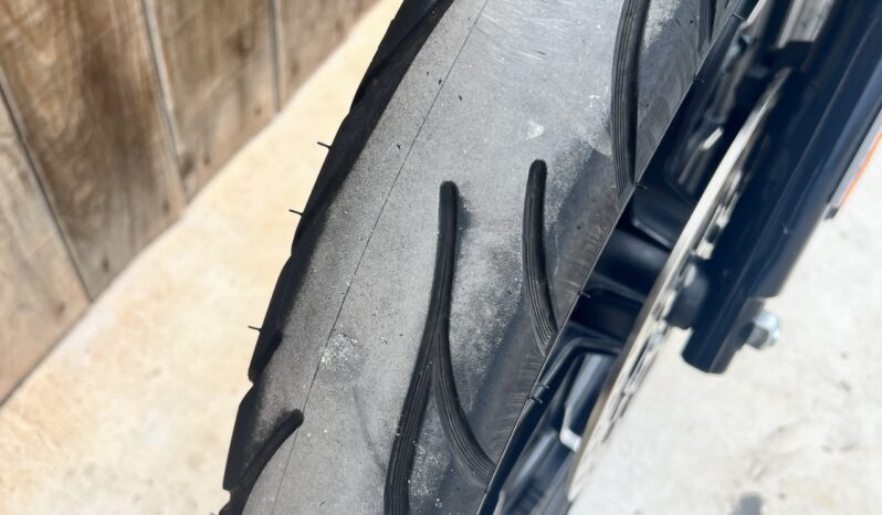 HARLEY DAVIDSON XL883 IRON A2 lleno