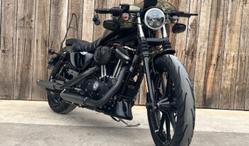 HARLEY DAVIDSON XL883 IRON A2 lleno