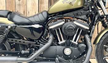 HARLEY DAVIDSON XL883 IRON A2 lleno