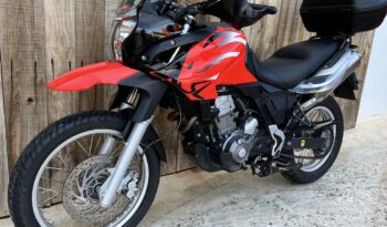 APRILIA PEGASO 650 A2 lleno