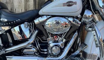 HARLEY DAVIDSON HERITAGE SOFTAIL CLASSIC lleno
