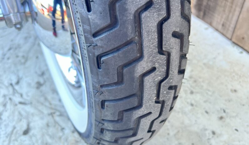 HARLEY DAVIDSON HERITAGE SOFTAIL CLASSIC lleno