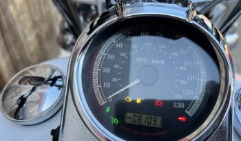 HARLEY DAVIDSON HERITAGE SOFTAIL CLASSIC lleno