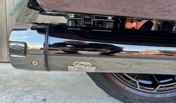 HARLEY DAVIDSON STREET GLIDE CVO lleno