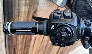 HARLEY DAVIDSON STREET GLIDE CVO lleno