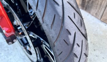 INDIAN SCOUT 101 DEMO lleno