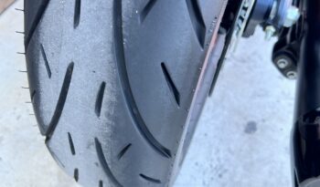 INDIAN SCOUT 101 DEMO lleno