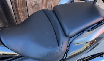 HONDA GL1800 VALKYRIE lleno