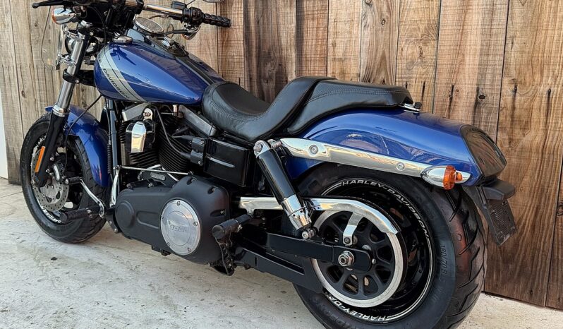 HARLEY DAVIDSON DYNA FAT BOB 103 lleno