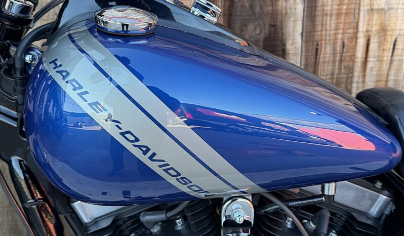 HARLEY DAVIDSON DYNA FAT BOB 103 lleno