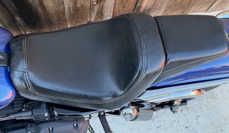 HARLEY DAVIDSON DYNA FAT BOB 103 lleno