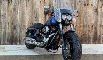 HARLEY DAVIDSON DYNA FAT BOB 103 lleno