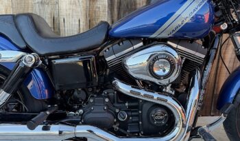 HARLEY DAVIDSON DYNA FAT BOB 103 lleno