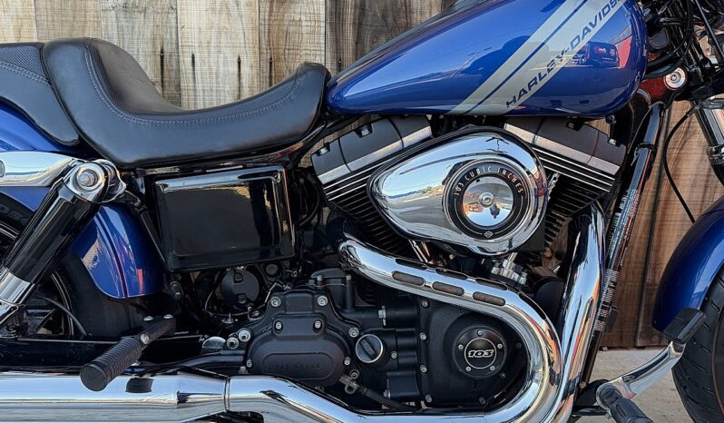 HARLEY DAVIDSON DYNA FAT BOB 103 lleno