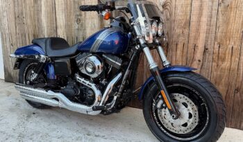 HARLEY DAVIDSON DYNA FAT BOB 103 lleno