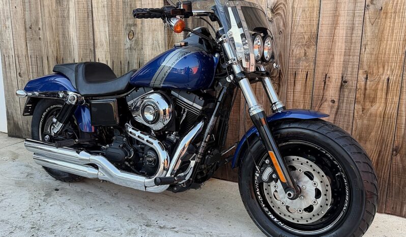HARLEY DAVIDSON DYNA FAT BOB 103 lleno