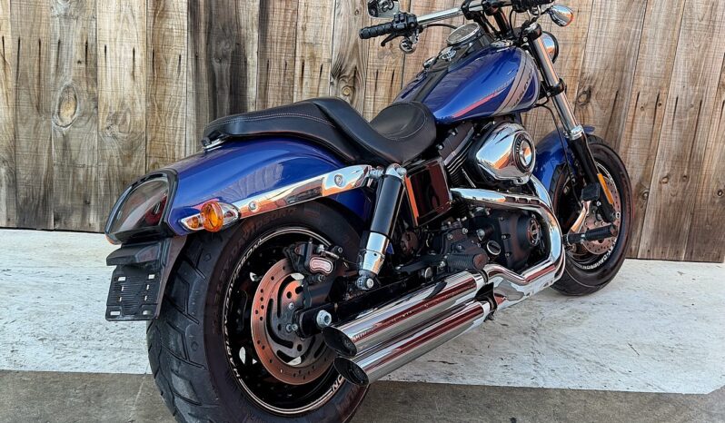 HARLEY DAVIDSON DYNA FAT BOB 103 lleno