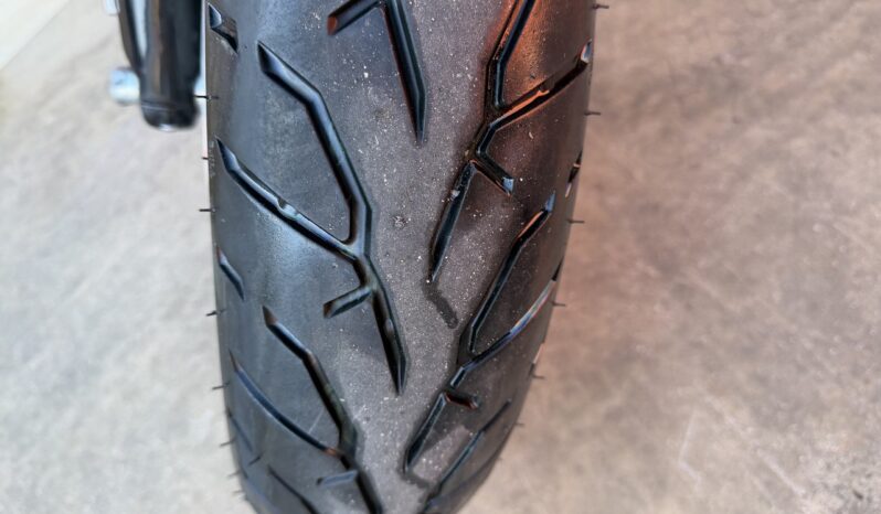 HARLEY DAVIDSON DYNA FAT BOB 103 lleno