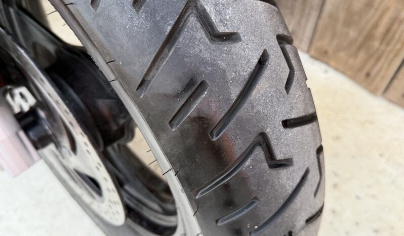 SUZUKI M800 INTRUDER lleno