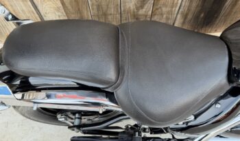 SUZUKI M800 INTRUDER lleno