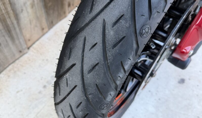 INDIAN SCOUT 1250 “101” lleno