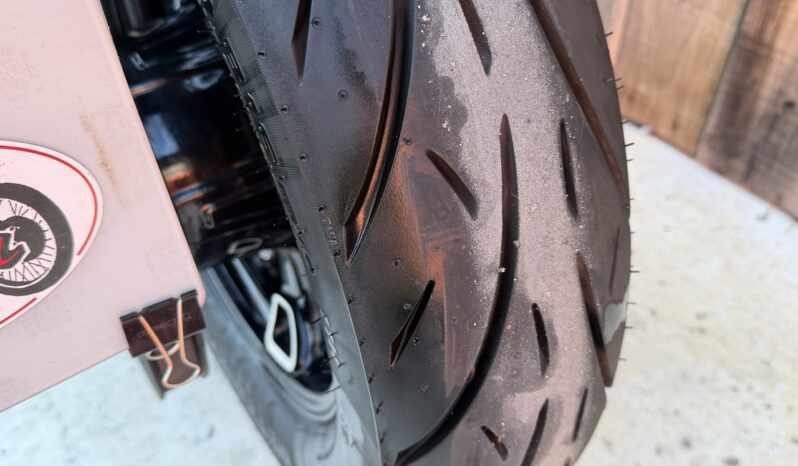 INDIAN SCOUT 1250 “101” lleno