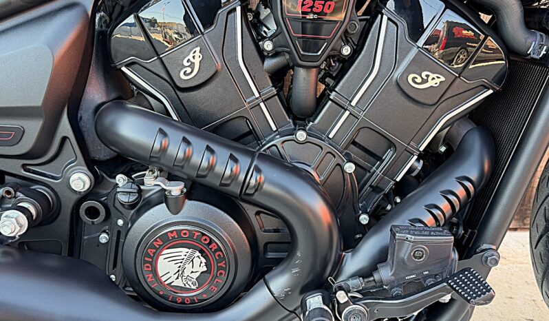 INDIAN SCOUT 1250 “101” lleno