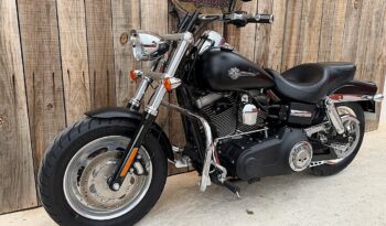 HARLEY DAVIDSON DYNA FAT BOB 103 lleno