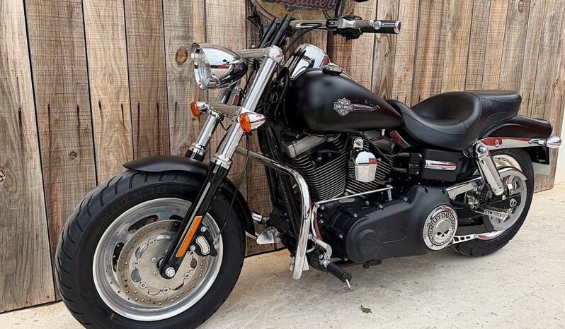 HARLEY DAVIDSON DYNA FAT BOB 103 lleno
