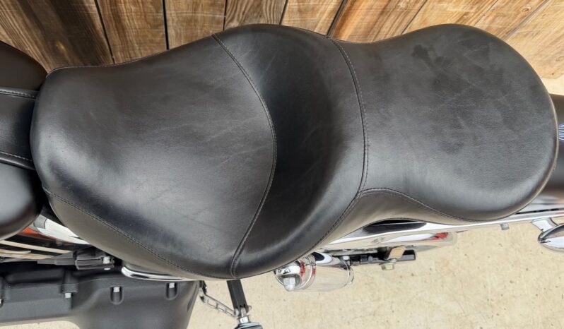 HARLEY DAVIDSON DYNA FAT BOB 103 lleno