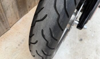 HARLEY DAVIDSON DYNA FAT BOB 103 lleno