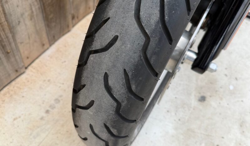 HARLEY DAVIDSON DYNA FAT BOB 103 lleno