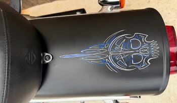 HARLEY DAVIDSON DYNA FAT BOB 103 lleno