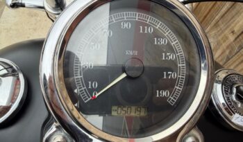 HARLEY DAVIDSON DYNA FAT BOB 103 lleno