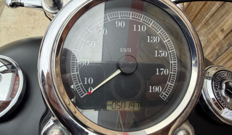 HARLEY DAVIDSON DYNA FAT BOB 103 lleno