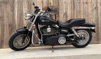 HARLEY DAVIDSON DYNA FAT BOB 103 lleno